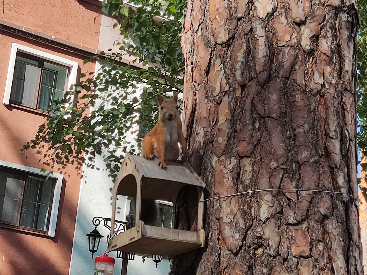 Гостиница Ранчо 636 Дзержинск-103