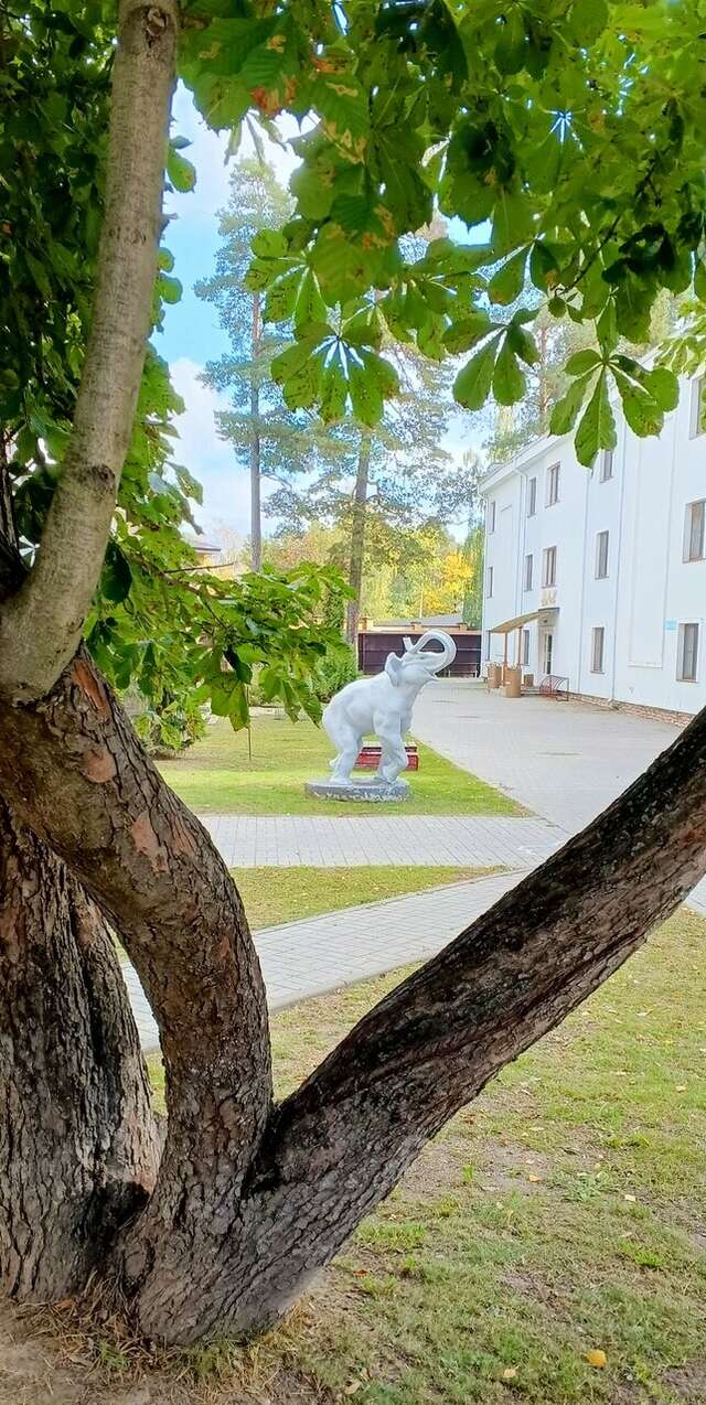 Гостиница Ранчо 636 Дзержинск-134